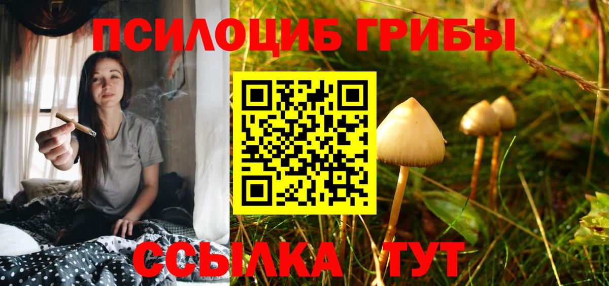 Топки  Галлюциногенные грибы мицелий  Вход с VPN  Галлюциногенные грибы мицелий 